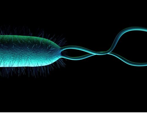 Prueba de aliento para detectar Helicobacter pylori